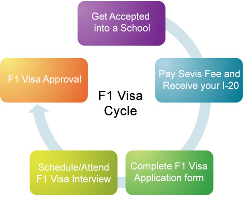 Social Media Vetting in the Visa Process